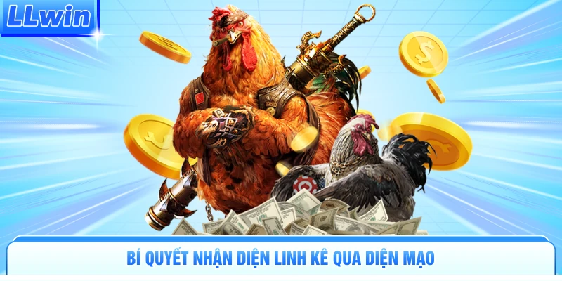 Bí quyết nhận diện linh kê qua diện mạo