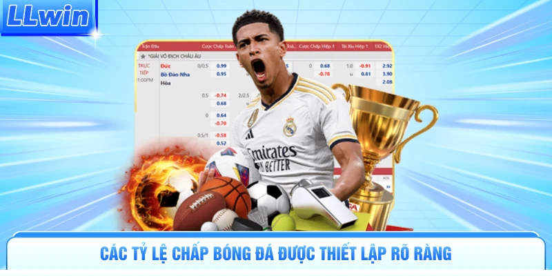 Các tỷ lệ chấp bóng đá được thiết lập rõ ràng