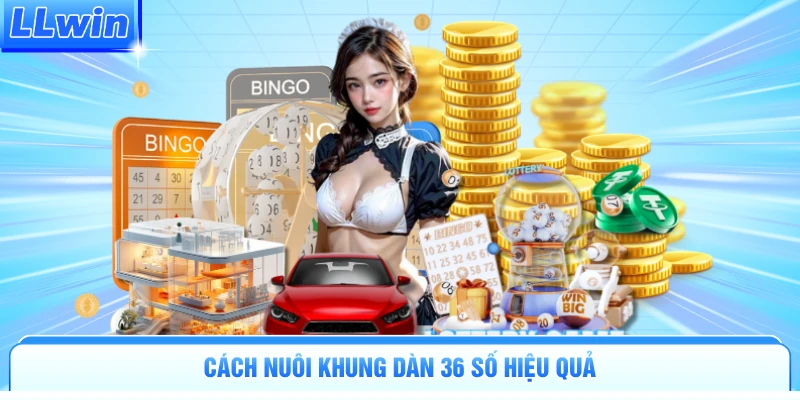 Cách nuôi khung dàn 36 số hiệu quả