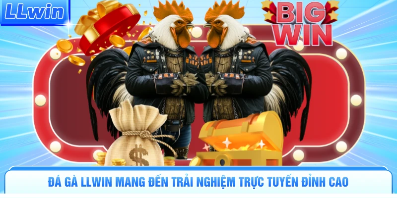 Đá gà LLWIN mang đến trải nghiệm trực tuyến đỉnh cao