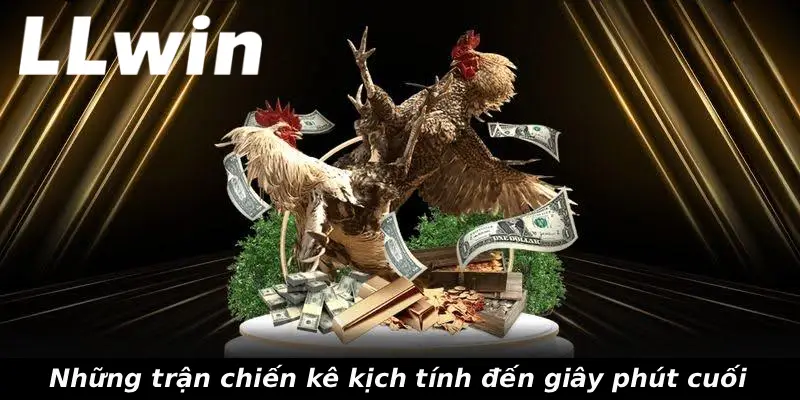 Những trận chiến kê kịch tính đến giây phút cuối