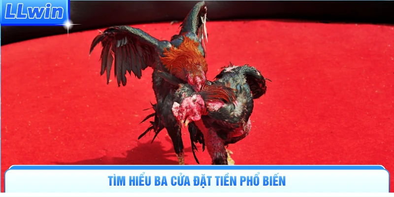 Tìm hiểu ba cửa đặt tiền phổ biến