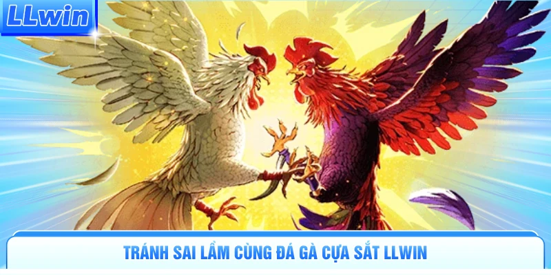 Tránh sai lầm cùng đá gà cựa sắt LLWIN